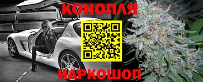 дживик Славгород