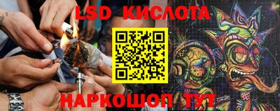 дживик Славгород