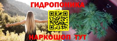 дживик Славгород