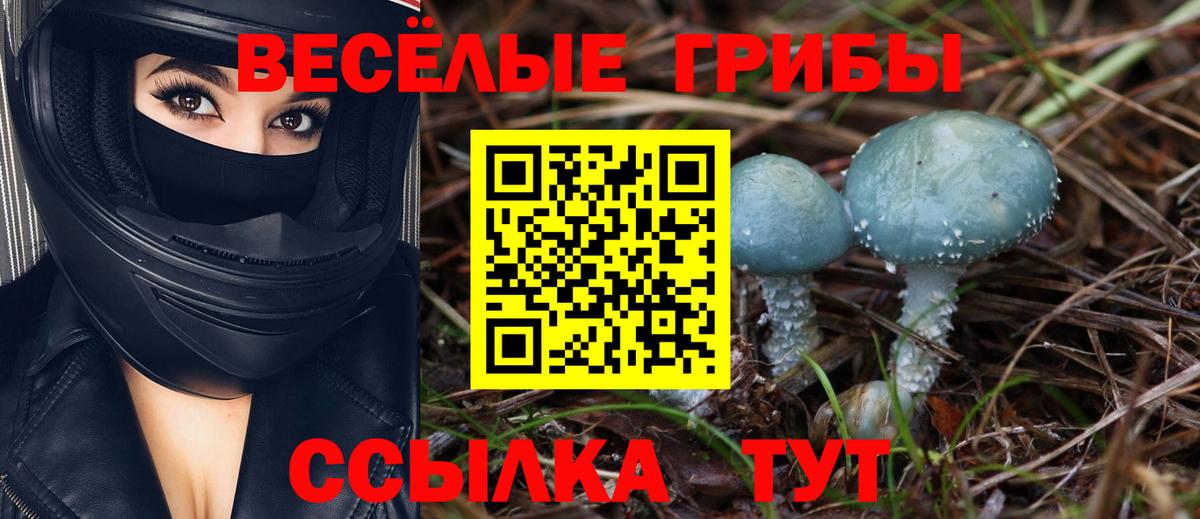 Галлюциногенные грибы Psilocybine cubensis  Вход с VPN  Бийск 